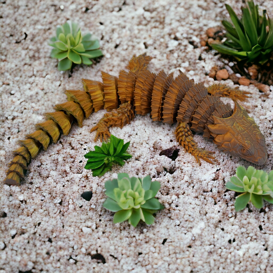 Armadillo Lizard