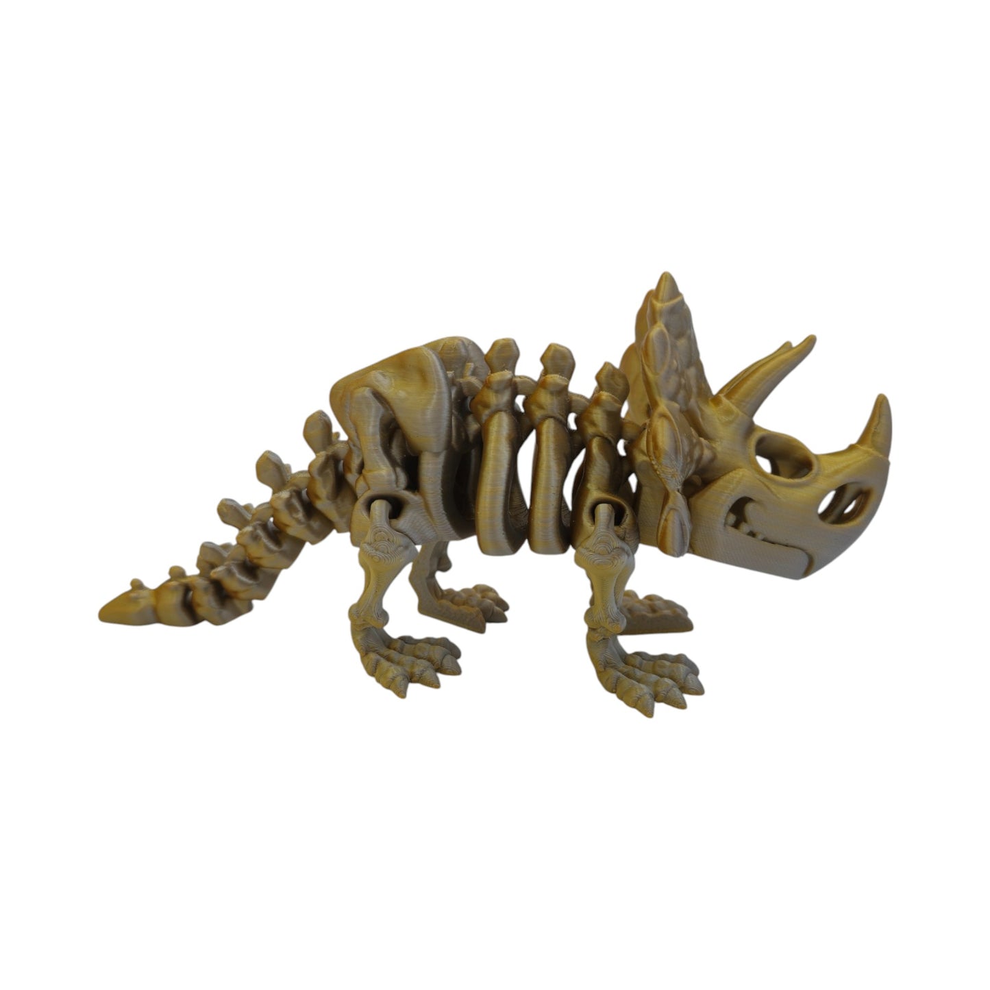 Skeletal Triceratops